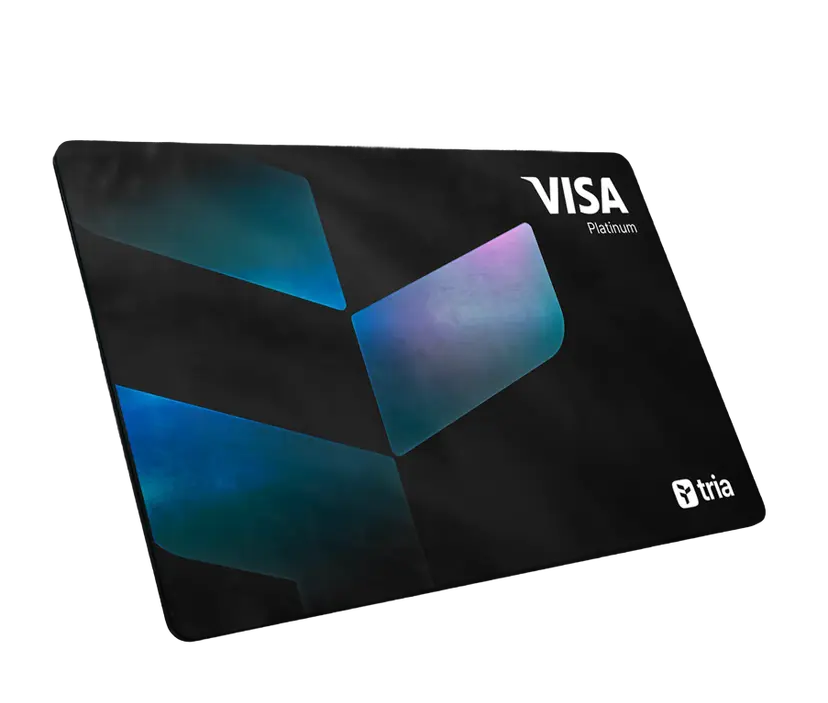 VISA Platinum